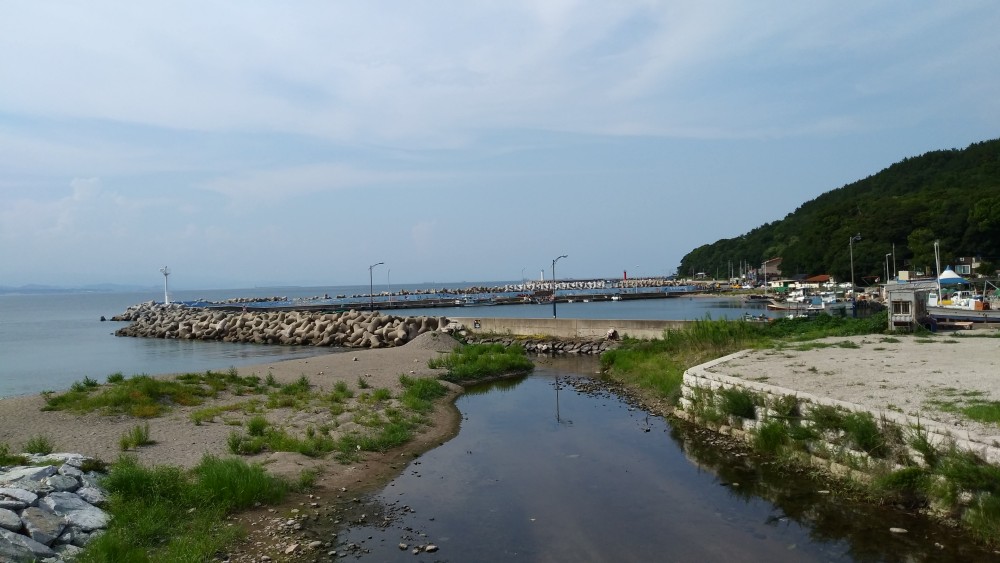 cf87999ddb6c6267fe67b1bda3a5bb81_1565570732_1298.jpg